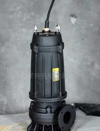 WQ、WQD、WQX型無(wú)堵塞潛水電泵 高效可靠的潛水設(shè)備解決方案